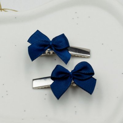 Kleine haarspeldjes zilver-blauw set