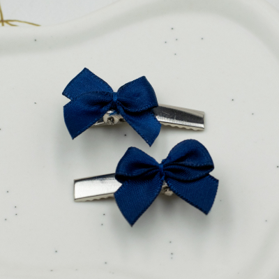 Small hairclip silver blue - set